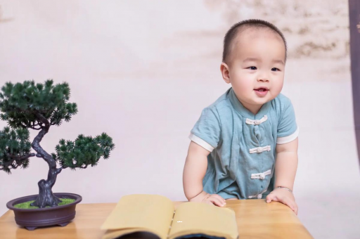 福州可爱的企鹅宝宝